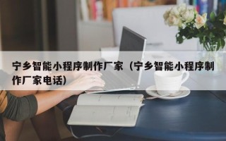 莒县宁乡智能小程序制作厂家（宁乡智能小程序制作厂家电话）